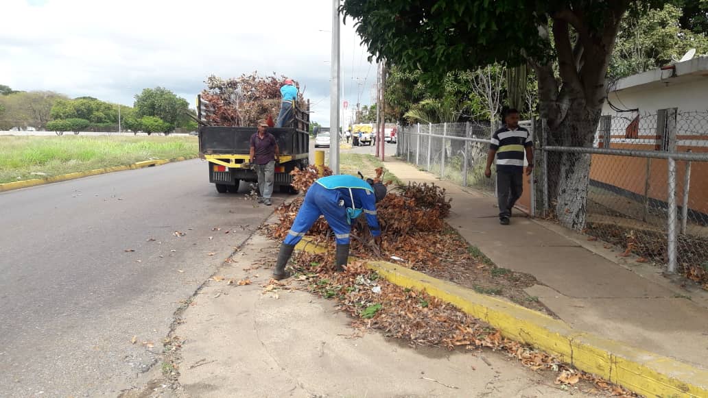 AlcaldiaAnaco's tweet photo. ¡Continuamos Construyendo una Ciudad Más Saludable💪😎!

El personal de #AnacoLimpio💚, lleva a cabo acciones de recolección de maleza y basura en las siguientes zonas del municipio: 👇

✅Av. José Antonio Anzoátegui
✅Av. Boyacá

#ConstruyendoFuturo🤝 https://t.co/vuHCNiSXdF