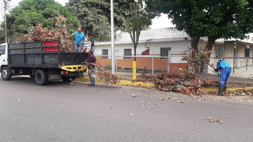 AlcaldiaAnaco's tweet photo. ¡Continuamos Construyendo una Ciudad Más Saludable💪😎!

El personal de #AnacoLimpio💚, lleva a cabo acciones de recolección de maleza y basura en las siguientes zonas del municipio: 👇

✅Av. José Antonio Anzoátegui
✅Av. Boyacá

#ConstruyendoFuturo🤝 https://t.co/vuHCNiSXdF