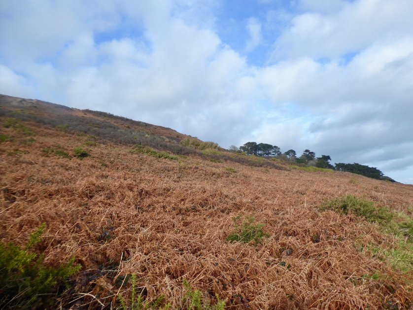 Stunning & perfect for winter walk! 
#walkinwinter #Cornwall