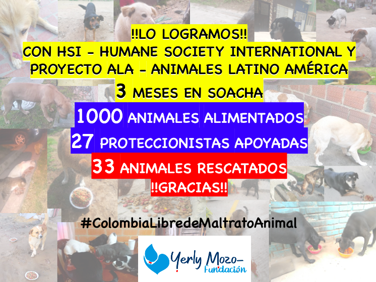 YerlyMozo's tweet photo. Gracias a labor de @HSIGlobal y Luis Sarmiento #ProyectoALA que hace posible estas cifras en uno de los municipios con gran vulnerabilidad en #Colombia como lo es #Soacha en medio de #COVID19.
Todo por hacer!!
@IvanDuque
@CamaraColombia
@SenadoGovCo
@Alcaldia_Soacha https://t.co/ZUHKhjfKxJ