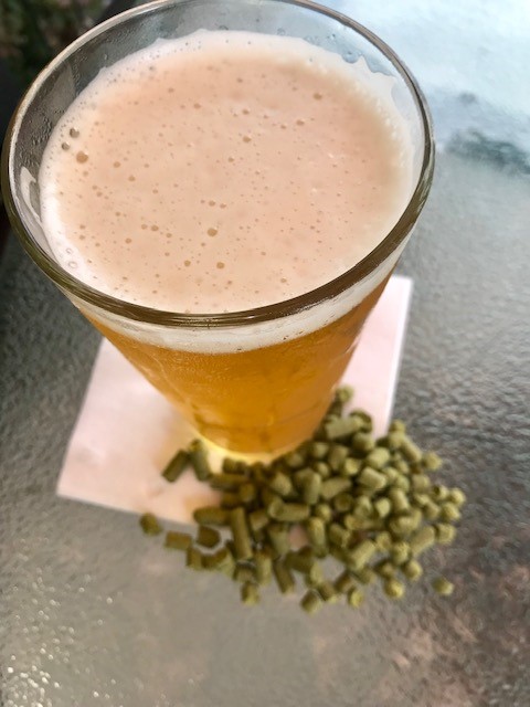 ✨Beer Spotlight✨

Our newest Brewmaster's Special is the Red Beard IPA.  This straw colored, slightly hazy IPA was brewed exclusively with Barbe Rouge hops (French for Red Beard). They impart a wonderful stone fruit aroma with bitterness to balance.
 
We hope you enjoy!