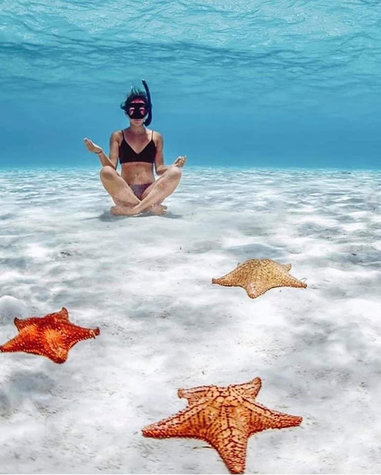 MarCarbajal7's tweet photo. Y mientras todos discutimos cómo arreglar al mundo, derrepente un minuto para respirar no está mal, aquí una inspiración para cuando el estrés esté a toda máquina! 

#IslaCozumel 🏝 la isla más hermosa del mundo!  

#stressrelief https://t.co/FhowzbQZnl