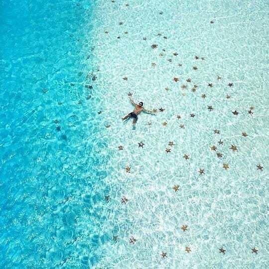 Y mientras todos discutimos cómo arreglar al mundo, derrepente un minuto para respirar no está mal, aquí una inspiración para cuando el estrés esté a toda máquina! 

#IslaCozumel 🏝 la isla más hermosa del mundo!  

#stressrelief