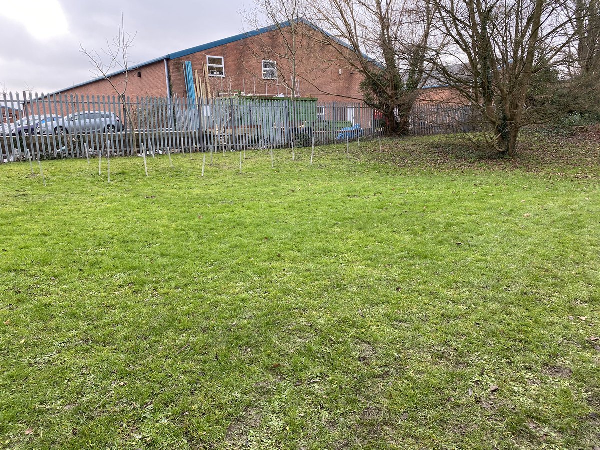 FOSROS1's tweet image. Remember the trees we had from @WoodlandTrust? Well today they have been planted! Unfortunately COVID changed our plans and the contractors for WDC planted them for us. Maybe when you are there, you can take a photo and sent it to us! @WoodlandTrust @Rooftop_Housing @Wychavon