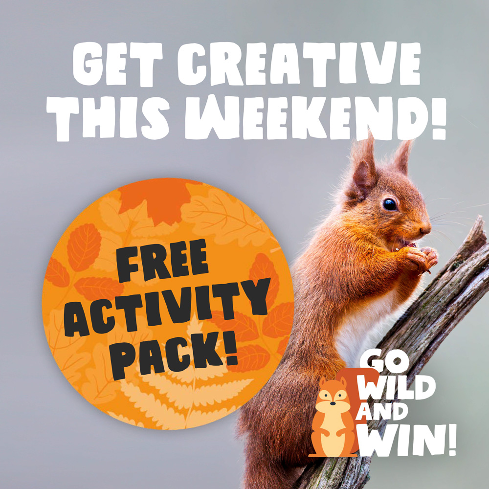 silverbackchat's tweet photo. Get creative with the kids this weekend, our new Go Wild and Win competition and activity pack is available and open for entries!
.
For more details head over to: https://t.co/Kgavr4tYOq
.
#getcreative #funprojectforkids #fundownloads #free #competiontime #yourcreativepartner https://t.co/ILRz8WA5yh