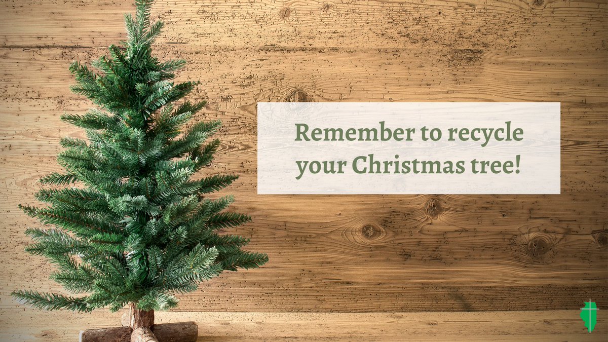 Catholic Conference of Illinois tweet media