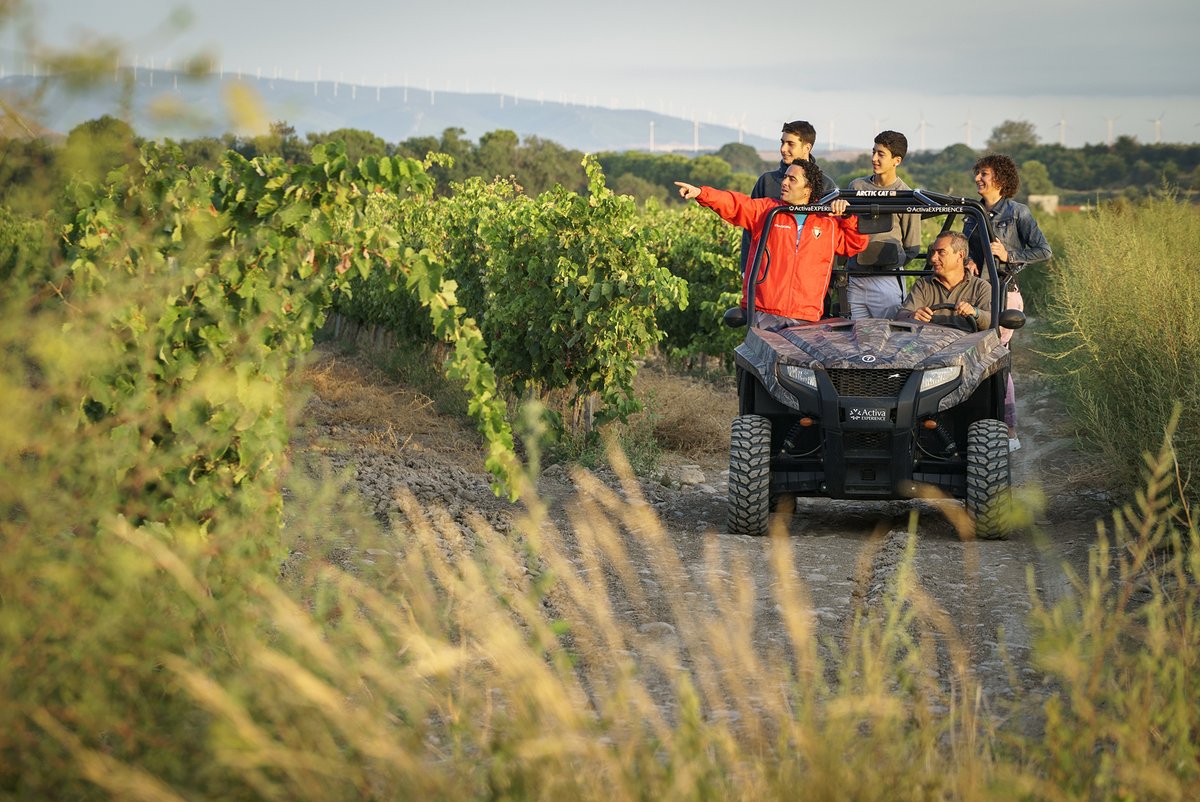 🧏🏻 Hoy te proponemos un plan súper especial que combina diversión, motor y vino. ¿Te animas?

Vuelta en buggy entre los viñedos de Cascante con paradas interpretativas y cata. 

+ visita y degustación en la bodega <a href="/MalondeEchaide/">Malón de Echaide</a>. 

INFO Y RESERVAS:
ℹ️  bit.ly/RutaDelVino_Bo…