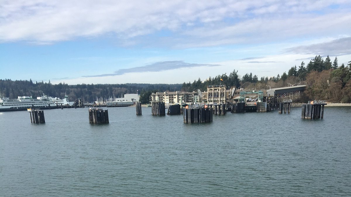 View from the water of a ferry terminal dock with tall trees rising from the background on a partly cloudy day. 