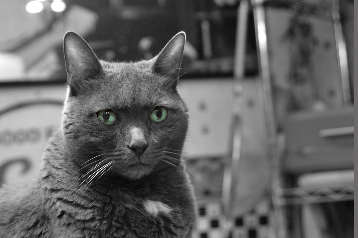 Playing with Black &amp; White
Project 365 - January 12 Part II
Follow along with me on my year-long journey back into photography.

project365-jody.blogspot.com/2021/01/projec…
#jrleshinskyphoto #southfloridaphotographer