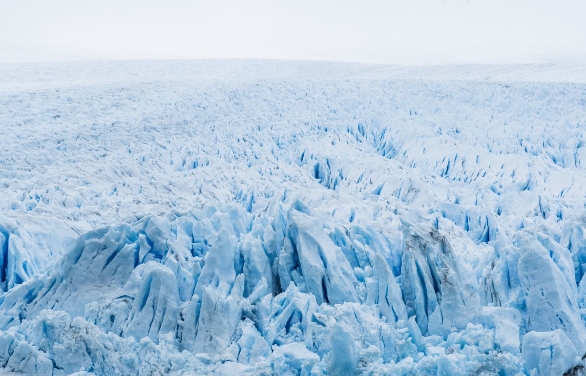 Cory Ingram tweet media