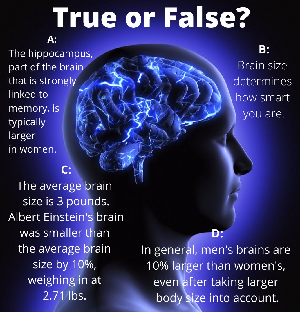 ClearChiro1's tweet photo. Brain facts! Did you know all 4 T/F questions?? 🤔 https://t.co/18VcQRGROD