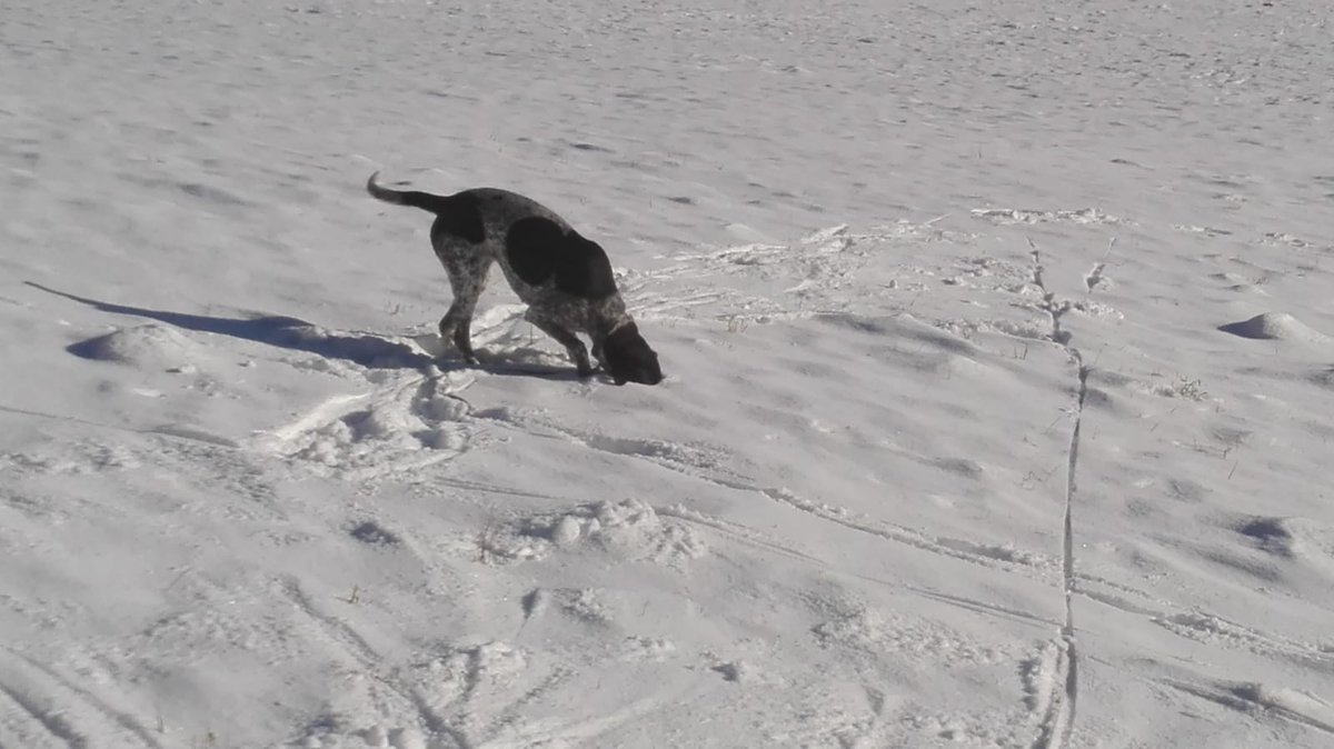 Ich war nach einem Handywechsel jetzt 7 Monate nicht auf #twitter Habe ich was verpasst?