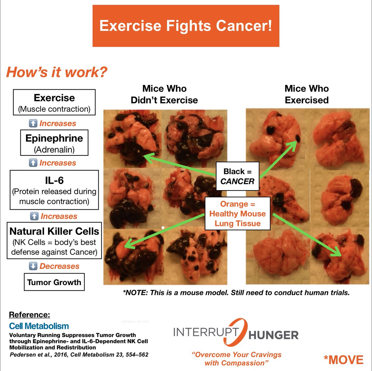 InterruptHunger's tweet photo. Look for my favorite Exercise Oncology studies every Friday!
Lose Weight, Feed the Hungry w/ our 3-Step Program!
👉Send your MOVE, EAT, GIVE pic to our DM to be featured!
“Overcome Your Cravings with Compassion!”
#MoveEatGive #ExerciseFightsCancer #ExerciseOncology https://t.co/P9Tx9nPm5V