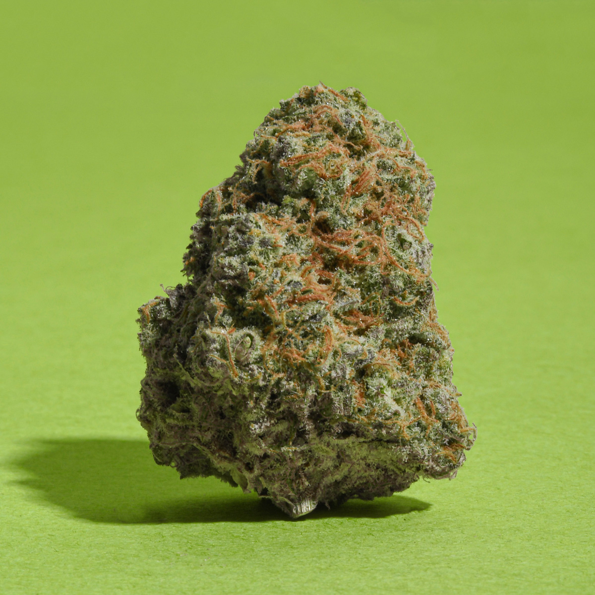 A simple flex for our Mint Sour good-ness. 20-26% THC, full fresh (terpinolene) and spicy (caryophyllene) flavours.