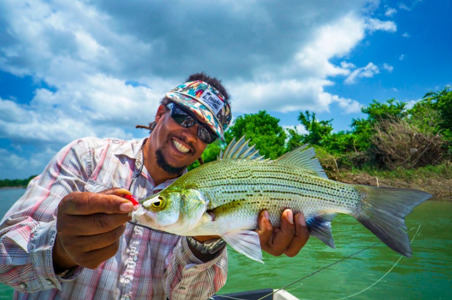 Backcountry Hunters & Anglers tweet media