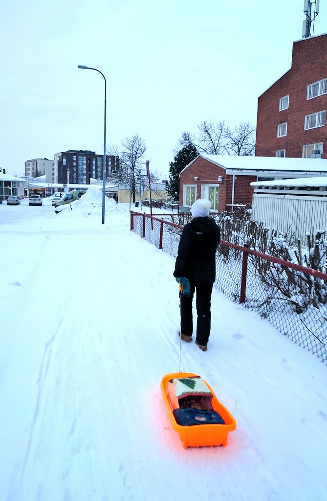Alternatively, you could also do your shopping with a pulk.  #meanwhileinOulu,  #Finland.6/x