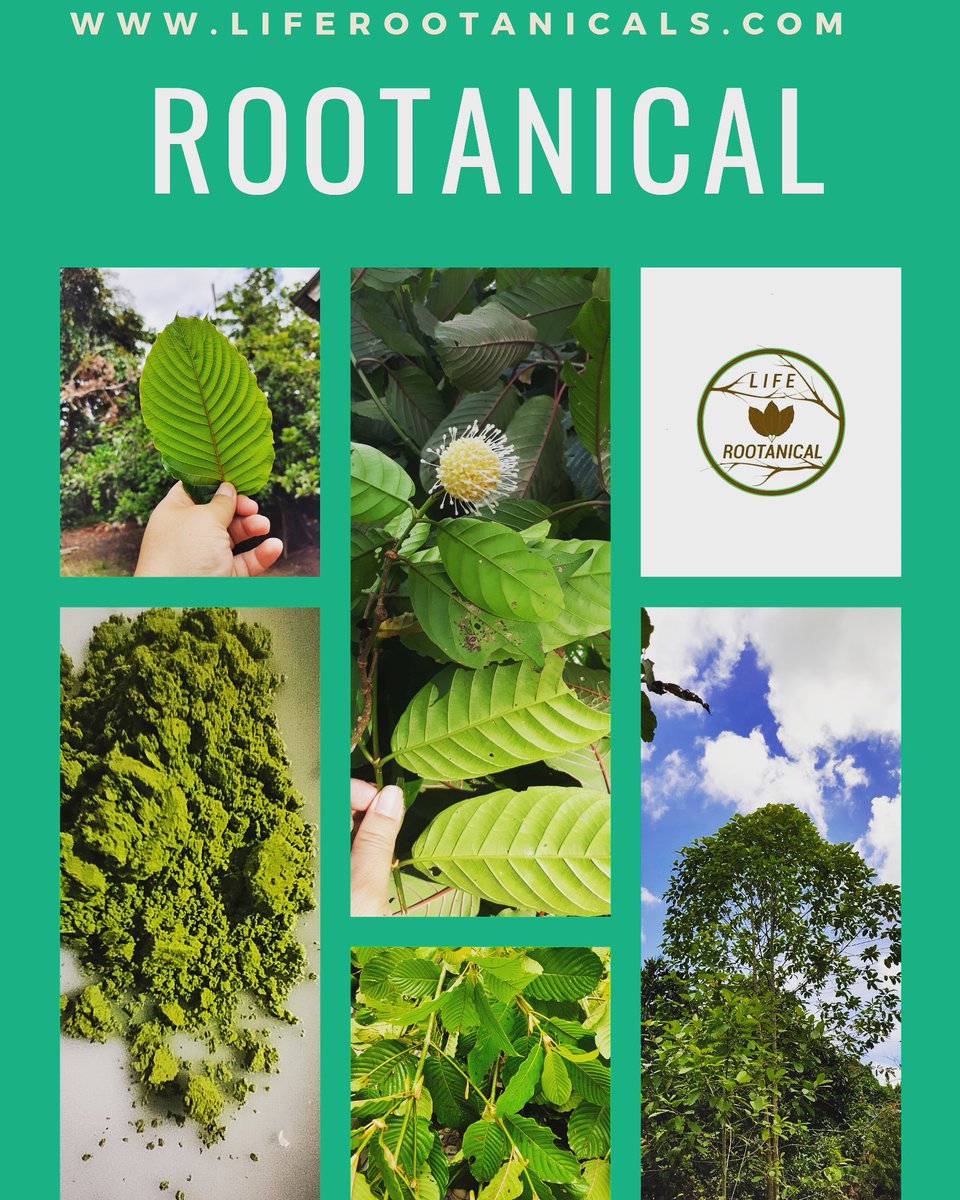 Rootanical2's tweet image. strong