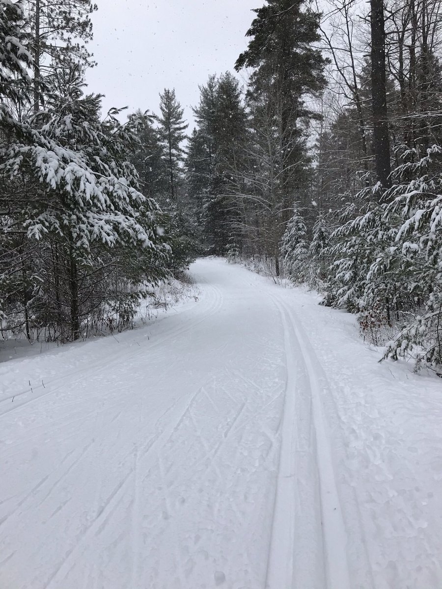 Arlene Robinson tweet media