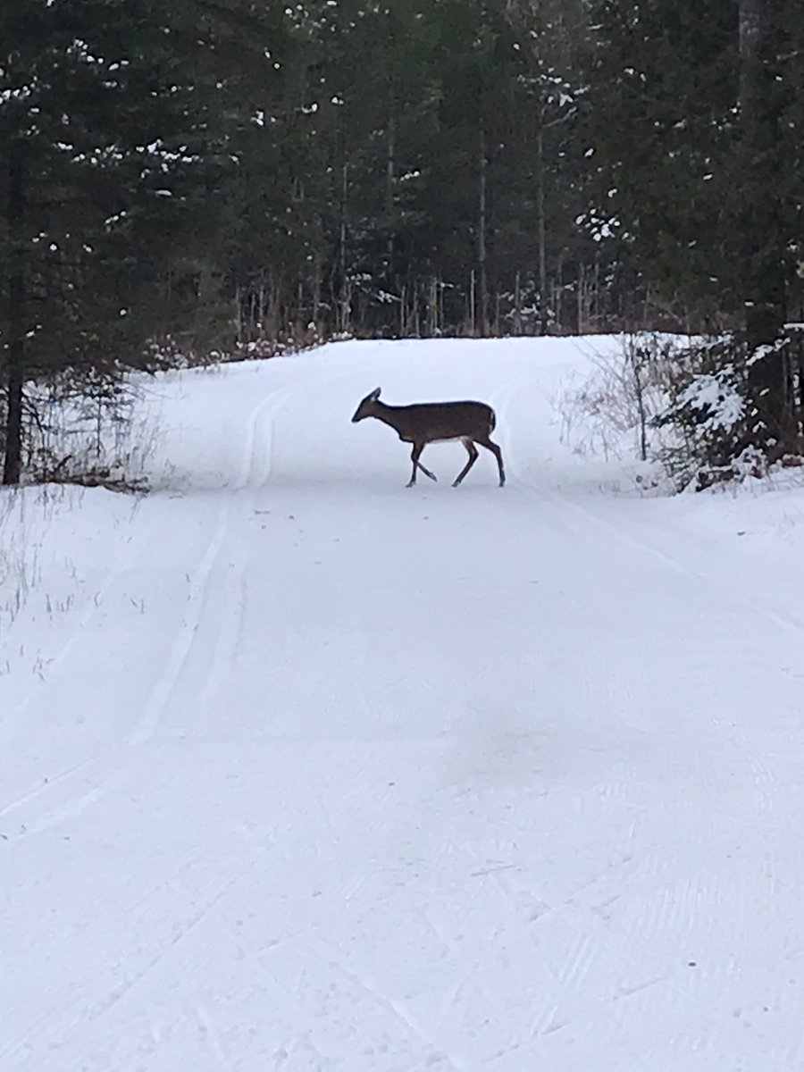 Arlene Robinson tweet media