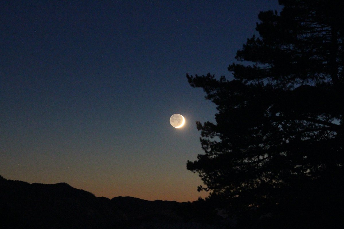 Rúnahild tweet media