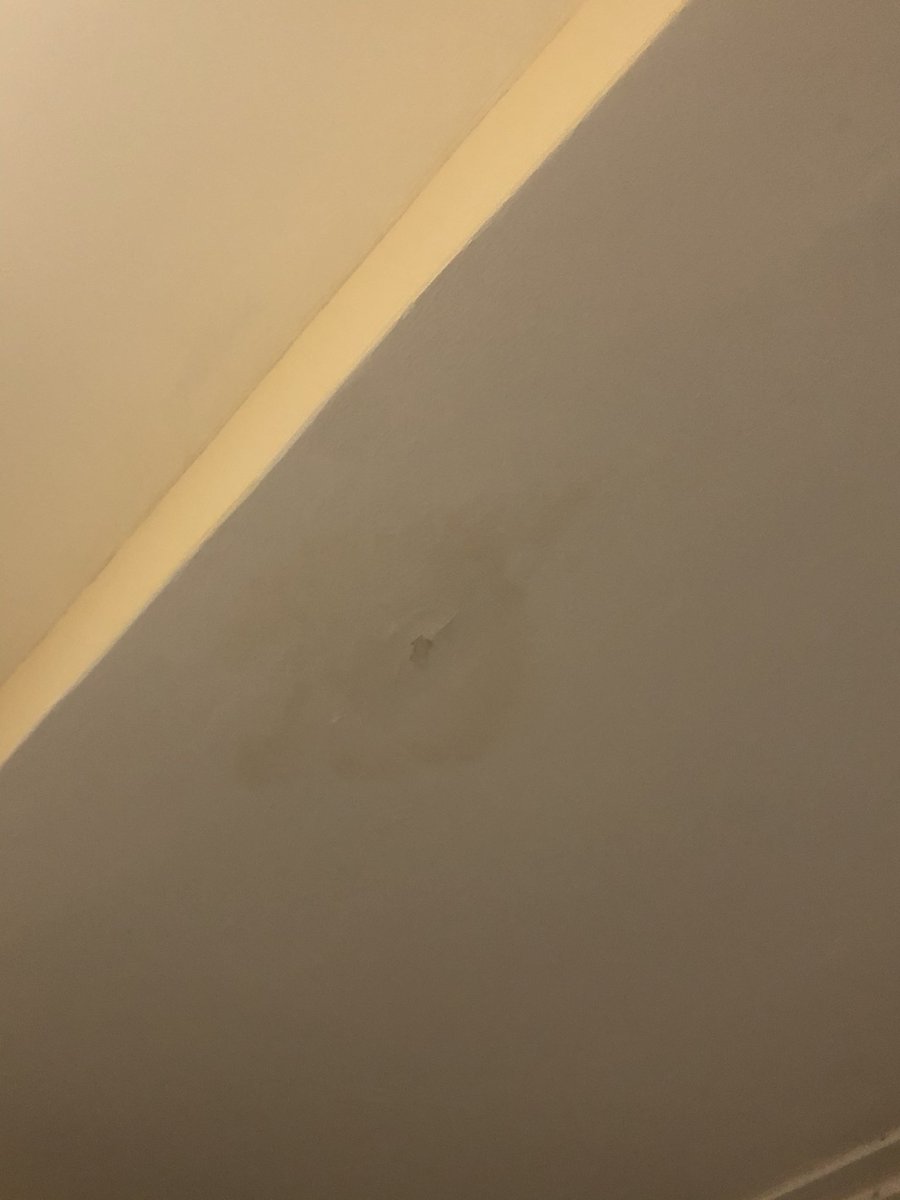 So <a href="/HarlowCouncil/">Harlow Council</a> sheeted my roof, it’s leaking (being fixed apparently) it’s clearly not working as I’ve got a 5th leak. I’ve emailed/called for 2 weeks &amp; been ignored! They want us just to keep waiting until ‘April’ despite no1 confirming this is the actual date for replacement