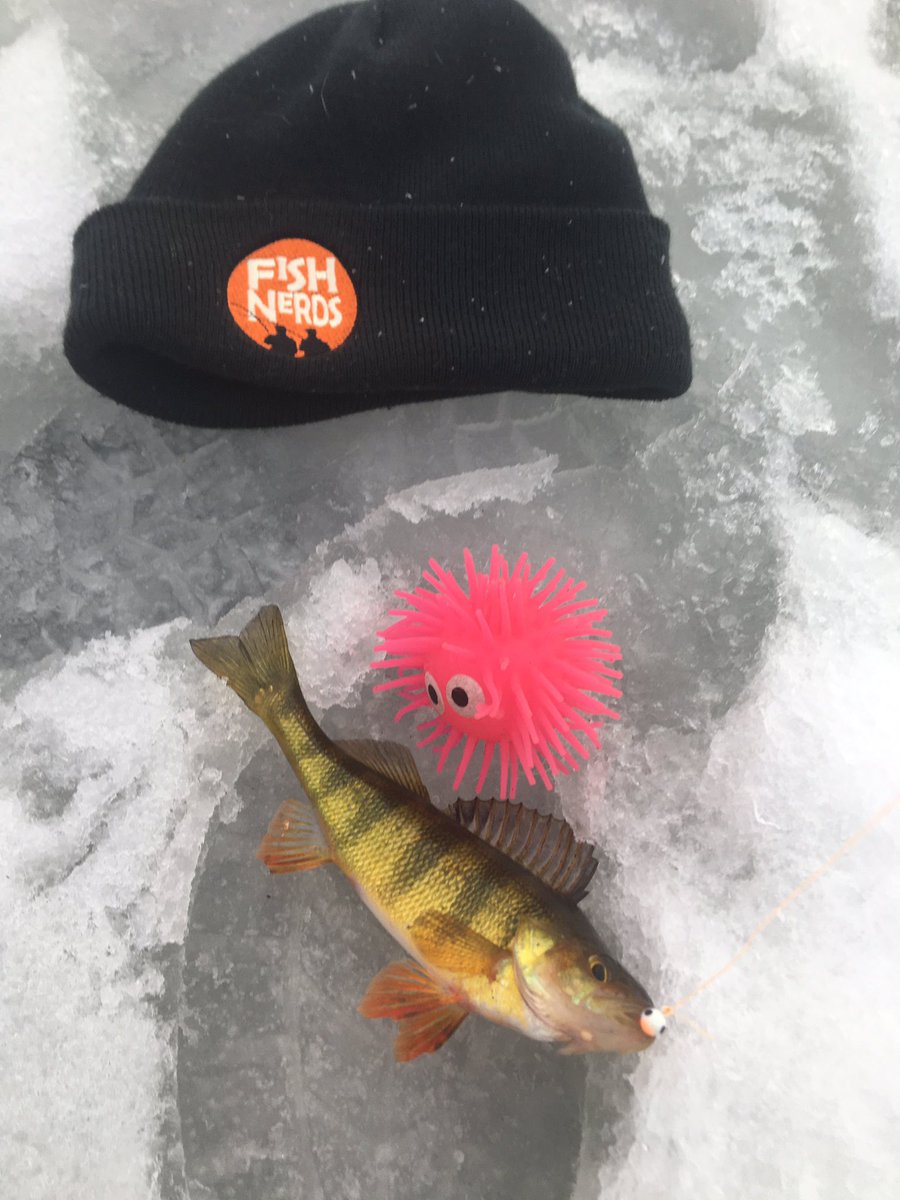 FishNerds's tweet photo. no #bait no problem. #icefishing #cheating #jigs #leadfree #fishnerds https://t.co/ub9MpY2Pw4