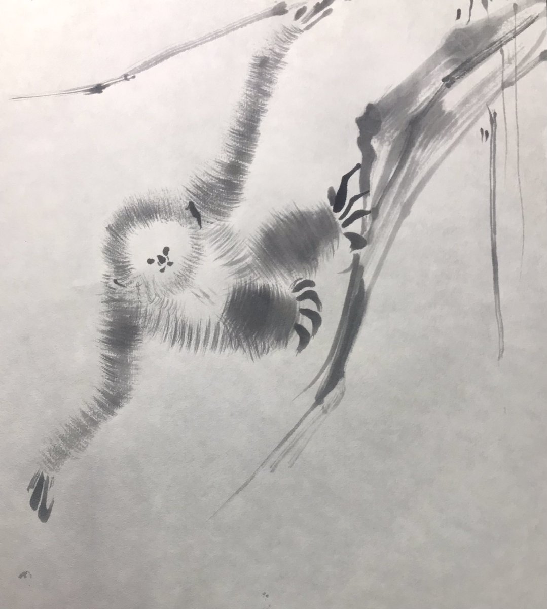 模写/長谷川等伯/蓮に小禽図/ハスにセキレイ図/花鳥図/掛軸☆