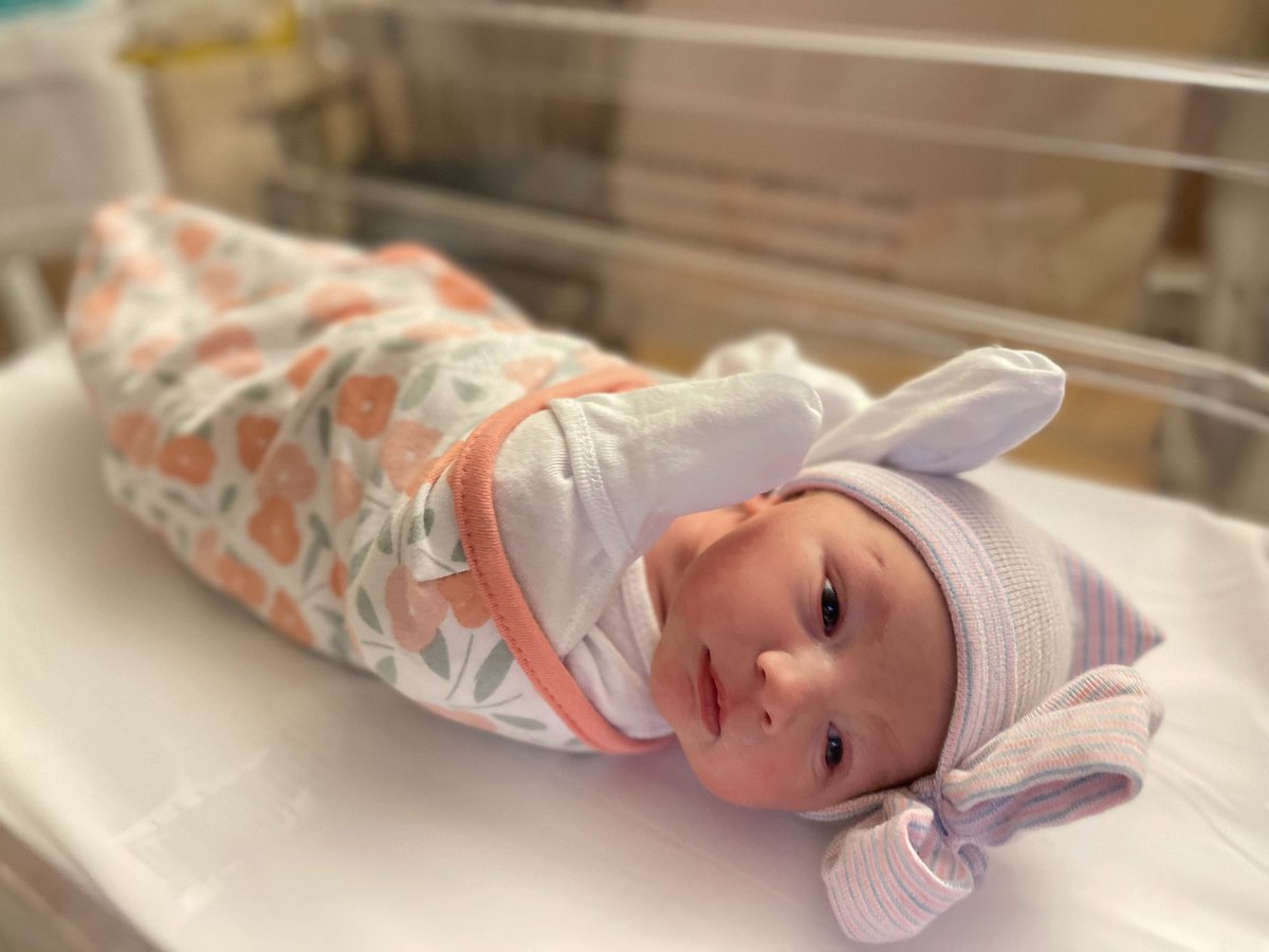 Bobby Elliott tweet media