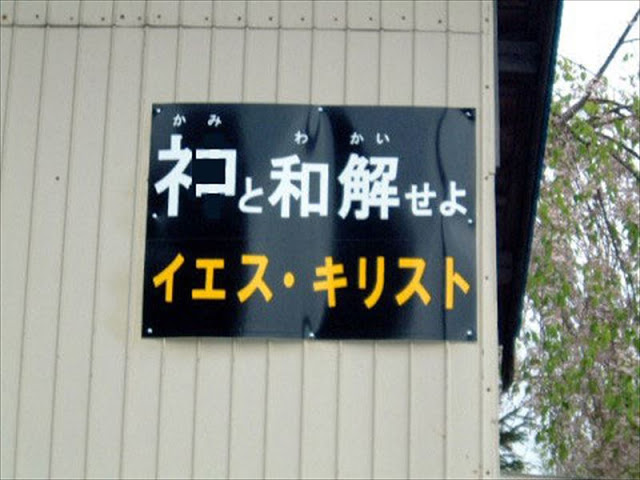 Uzivatel キャスケット キャット Na Twitteru みんな おはキャス ฅ W ฅ 今日も元気に ﾈｺと和解せよ ﾈｺを認めよ ﾈｺへの態度を悔い改めよ ﾈｺを恐れ敬え ﾈｺのさばきは突然にくる ﾈｺを捨てた世はほろびる 私生活もﾈｺは見ている 真のﾈｺを信じよ ﾈｺ