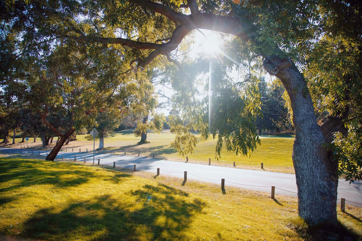 DeLa_SantaCruz's tweet photo. Who’s enjoying this great weather? Just in time for the weekend too. Happy Friday! ☀️⛳️🚲🌿⁣
⁣
#delaveagagolf #delaveaga #golf #santacruz #delagolf #delasc #delasantacruz https://t.co/zZXafc1Tp4
