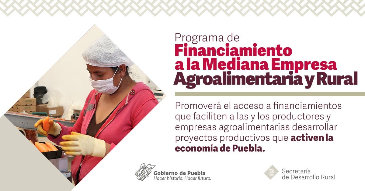 chignahuapansdr's tweet photo. Con el convenio de colaboración entre el Gobierno de Puebla y FIRA, productoras y productores con medianas empresas agroalimentarias, accederán a financiamientos e incentivos que permitirán el desarrollo del campo en la entidad. Entra a 👉 https://t.co/Mw4Xb9cIPA. https://t.co/jE0S6RVE3m