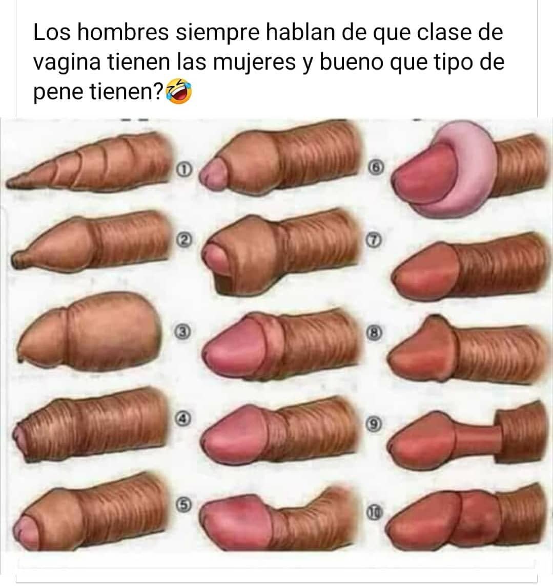 CochinoForever's tweet photo. 9 😌 https://t.co/ufNgecL9is
