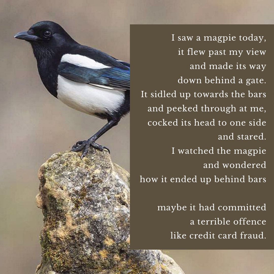 0hMySt4rs's tweet photo. Day 11 of #LockdownPoems 🐦 There’s not a lot of inspiration about at the moment, clearly. It’s nice to write about the little things though, makes me appreciate them more. Thanks to my pal @molly_martian for helping me craft the right ending for this!! 💓 feedback welcome! ✨ https://t.co/RhOCWPyfW5