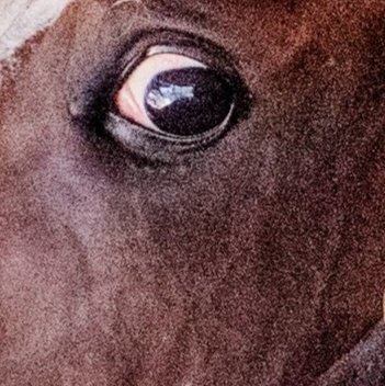 agent_blondie's tweet photo. @sackatogastable @robinsmullen @hlynnsm Tiz the best team in the biz👏🏽❤
#TaggTeam
#SackatobaStable
#FBFriday
Trust me, 👁 know ⤵️ https://t.co/bza1sq5aEt