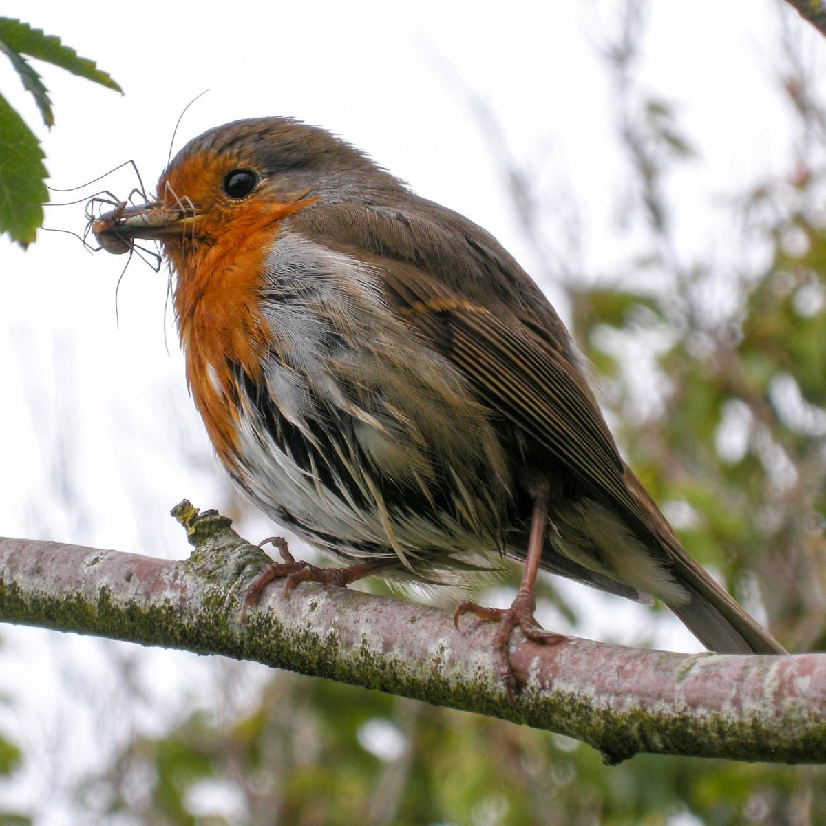 Louisa Harris (@loubymay) on Twitter photo 