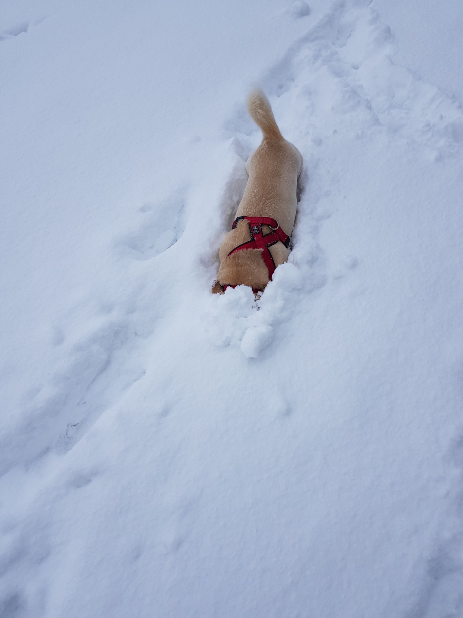 ErzF1CAW8AAtnn7?format=jpg&name=large