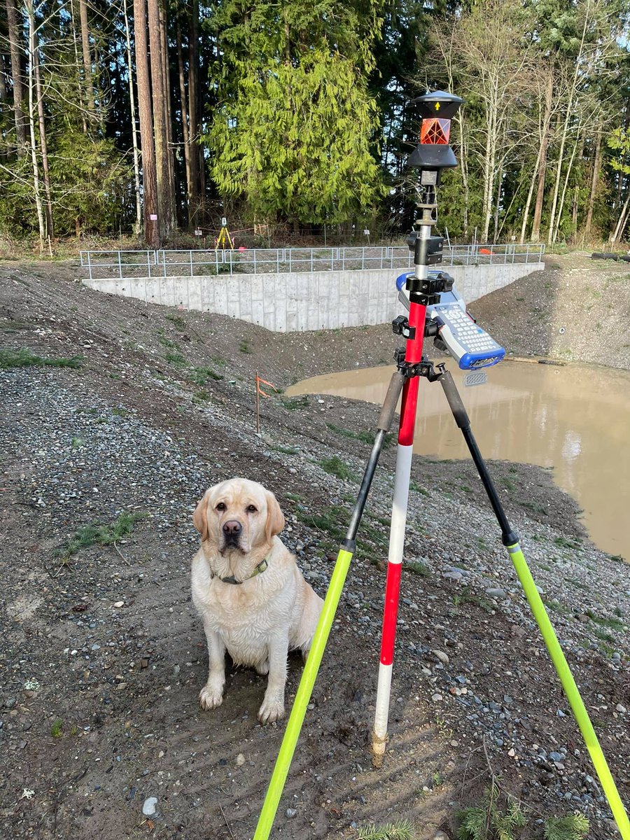 Parametrix_Inc's tweet photo. Meet our newest surveyor, Joey! He's not afraid to get a little dirty on the job and accepts pets and treats as payment.

Kristy Allinson snapped this shot of her sidekick while working on a reservoir and booster pump station project in Puyallup, WA. https://t.co/W6AsUB4eRm