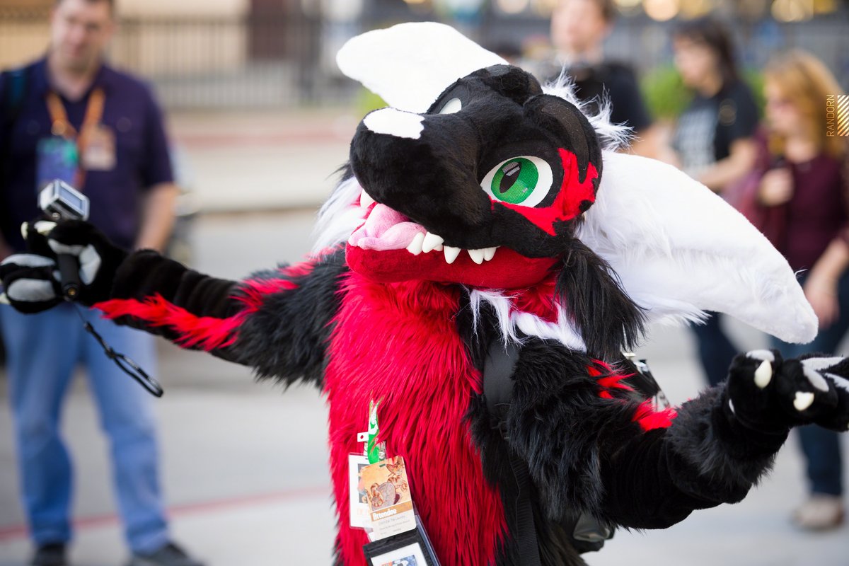 It's FC weekend for this #FursuitFriday! It's been a consistent thing to go to as it always falls during/close to my birthday weekend, sad to break that streak. 

📷: <a href="/FlinkBG/">Sierra Misst</a> <a href="/Sora_gryphon/">Sora🍁Gryph</a> <a href="/Randorn/">Randorn Canis</a>