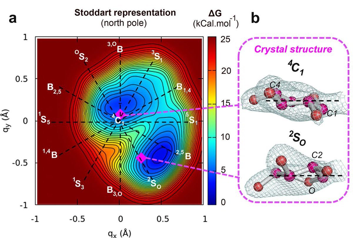 Nice work of former postdoc <a href="/m_abmorais/">Mariana Morais</a> who did not only the X-ray experiments (with <a href="/Murakami_LNBR/">Mario Murakami - Structural Enzymology</a>  team) but also the QM/MM simulations (with <a href="/JoanCLN/">rini</a> in our lab). <a href="/NatureComms/">Nature Communications</a> <a href="/UniBarcelona/">Universitat de Barcelona</a> <a href="/IQTCUB/">IQTCUB</a> #glycotime