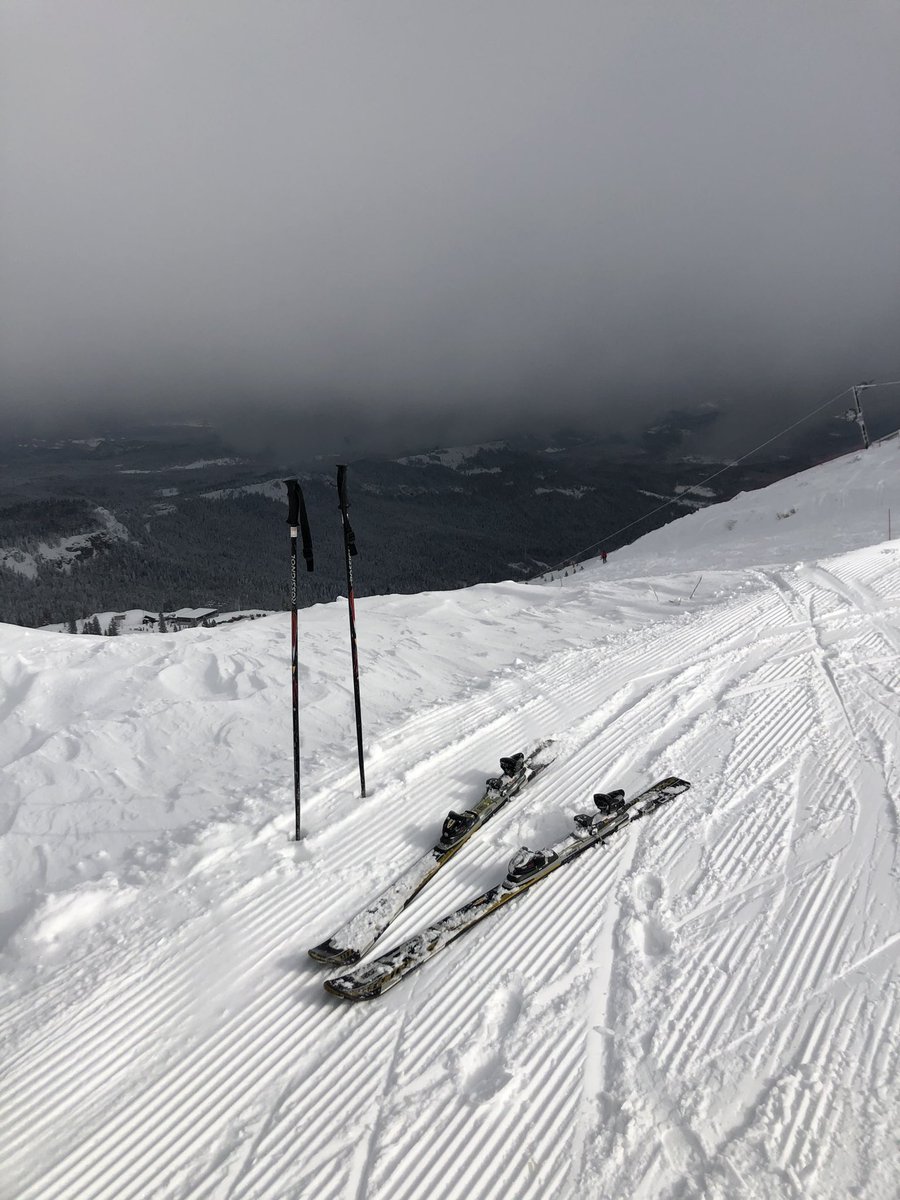 SrdjanNogo's tweet photo. Evo zašto volim zimu!
#jahorinalive  #snowday2021 #odmor #planina #winter i mi... https://t.co/qVs5550rmw