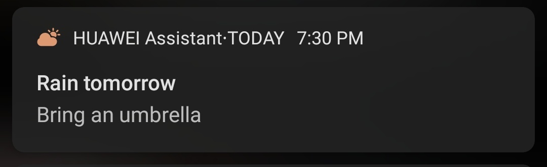 Full Lockdown Day210:07pmLong day and an even longer night. Is it too much caffeine or is it too much time?I thought I'd gone mad hearing things, but my daughter assures me she can hear the rooster too.Tomorrow, I'll carry an umbrella from the bedroom to the kitchen.