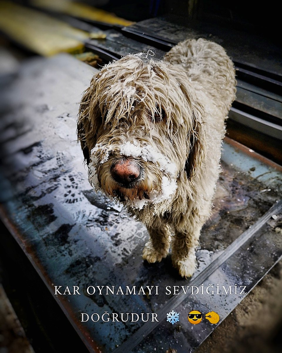 nisay26's tweet photo. İnsan olabilmenin yolu;

Yaratılmış her şeye SEVGİ ve MERHAMET duyabilmektir.. ❤️ https://t.co/CGuUUl4jLH