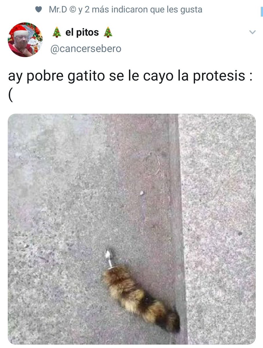 El_Dr_Ed's tweet photo. ¿Que por qué tengo Twitter? https://t.co/52dh8Y6pkD