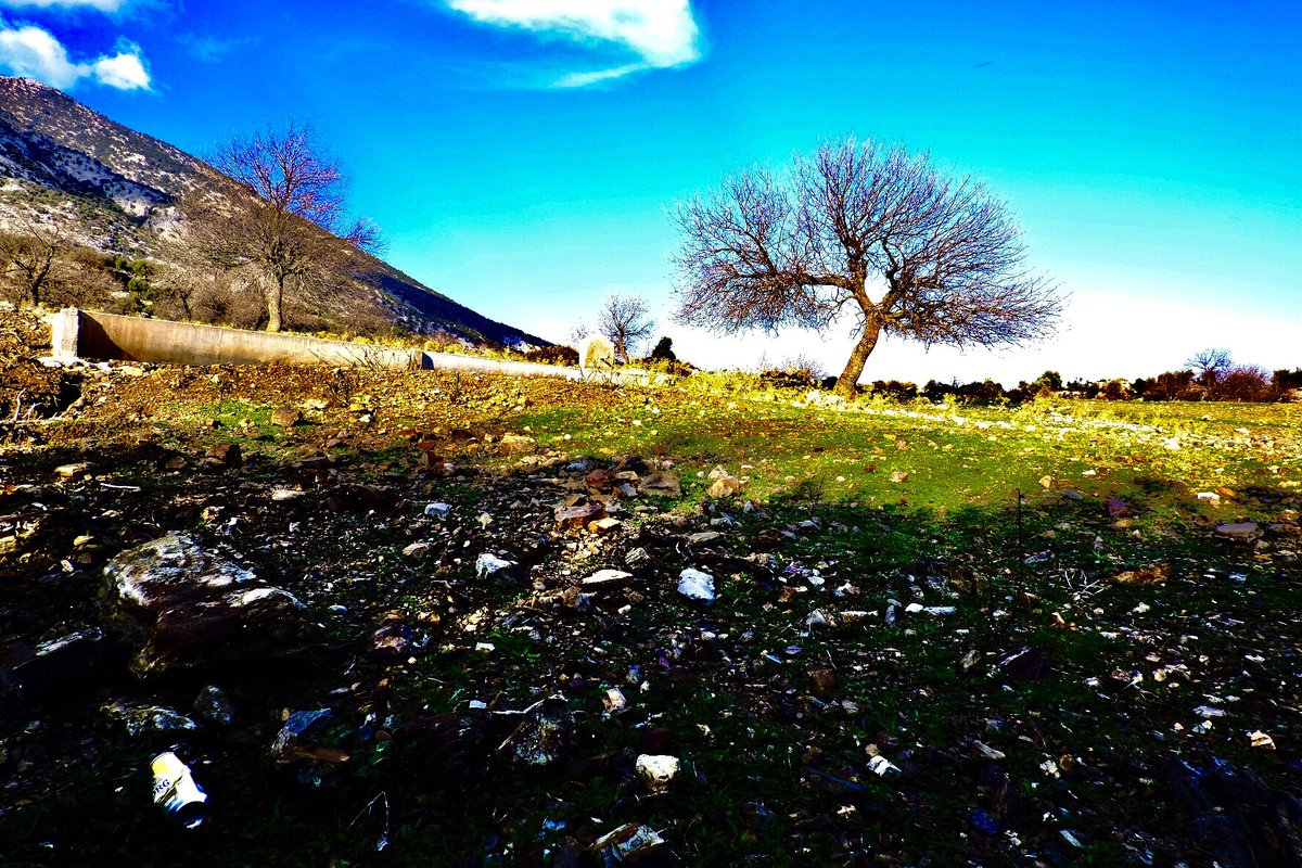 AN_Photographer's tweet photo. #landscape #view @natgeotvturkiye @NatGeoMagTR @NatGeoPhotos @NatGeoMag #wood @Woodland https://t.co/zeDKZoG1Sv