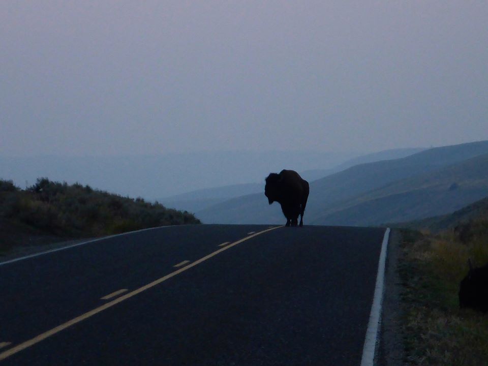 We have ~$100 billion in annual subsidies we don't need to be spendingWe take $50 billion the first year and begin wildlife overpasses We take $50 billion the second year and begin induction charging roadwaysTwo or three years laterWe've saved upwards of 30% on GHG emissions