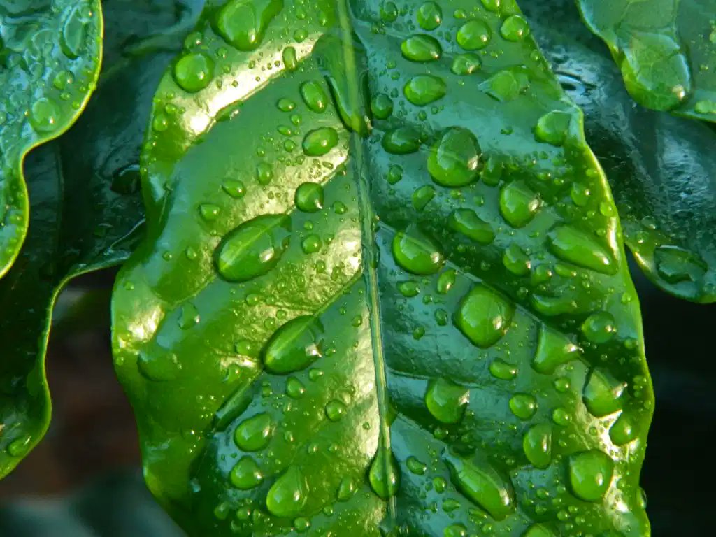 relewantna's tweet photo. Przypomnienie wpisu z bloga "Relewantna" →
Kawa mnie budzi najbardziej:
https://t.co/O7dykhnolJ
#relewantna #blog #blogerka #blogowanie #kawa #prywatność https://t.co/Noz8goLTge