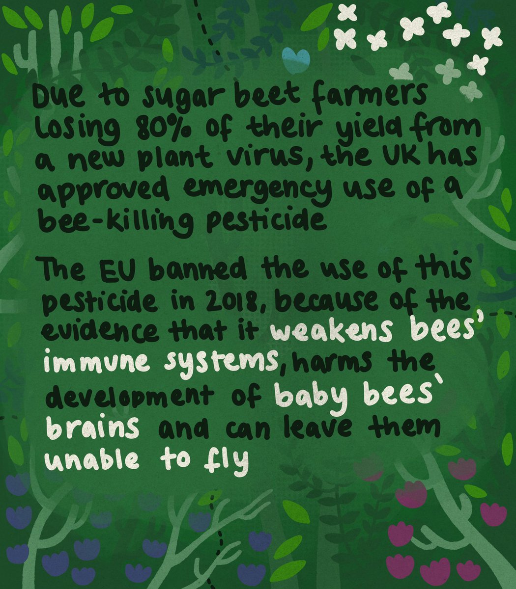 amyandersonart's tweet photo. save the bees !! ☹️🐝💗 https://t.co/7eAC6ketxP