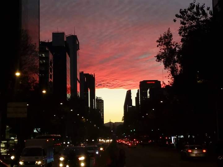 jorge hdz. zubieta tweet media