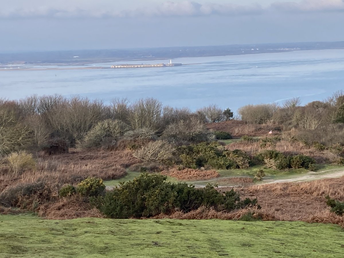 todayatthebay's tweet photo. Winter walk on Headon Warren https://t.co/nHBRK2CruJ