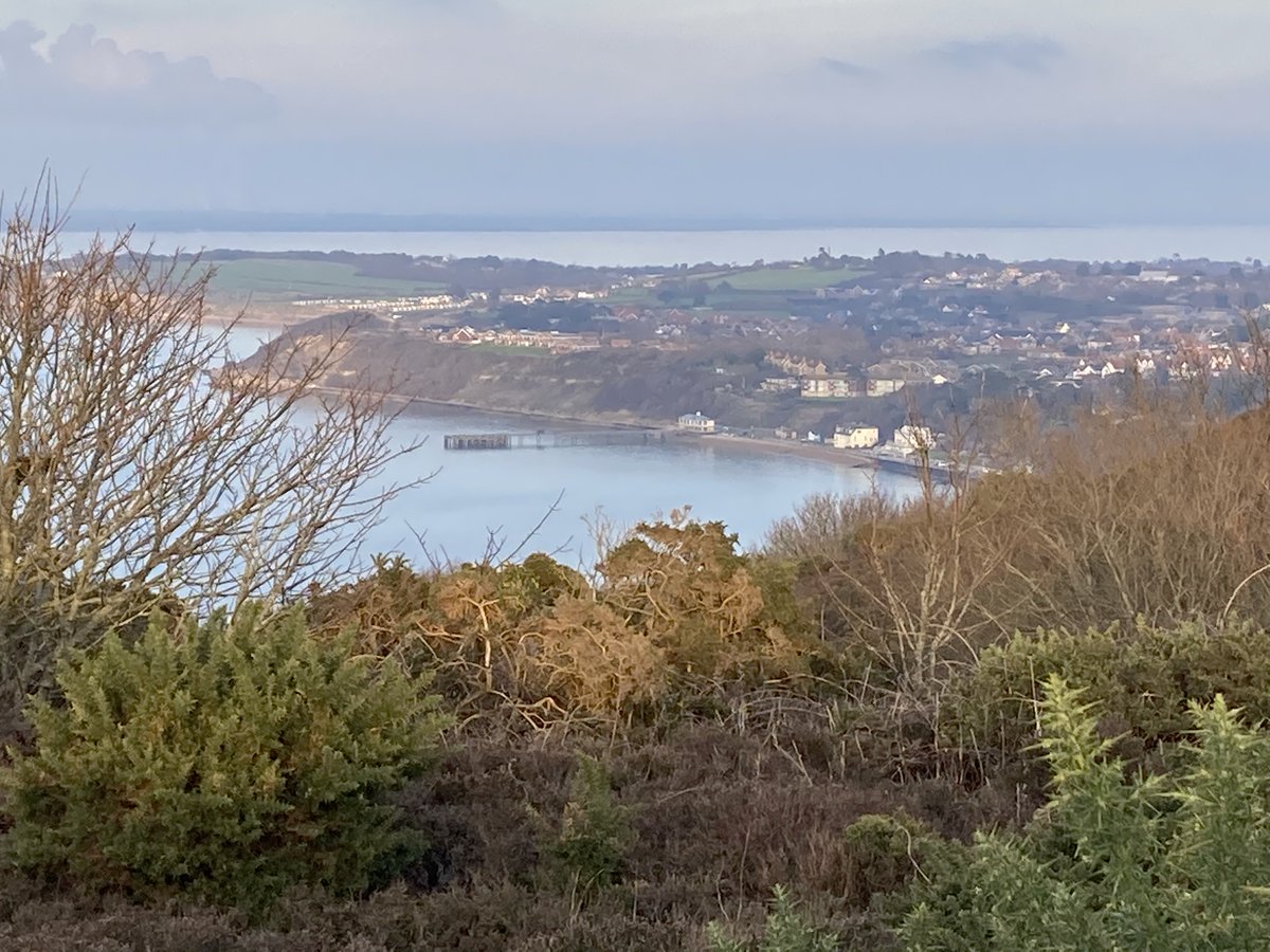 todayatthebay's tweet photo. Winter walk on Headon Warren https://t.co/nHBRK2CruJ